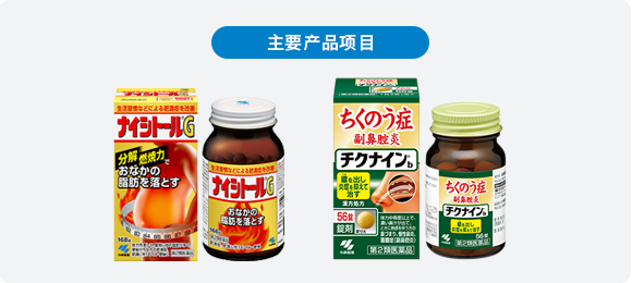 重要产品项目